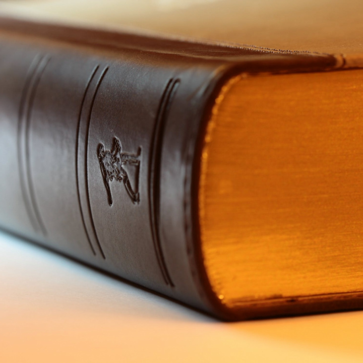 Conference of National Association of Real Estate Agencies of Slovak Republic